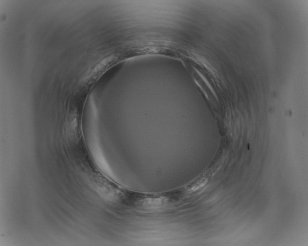 X0000075810314200609221315