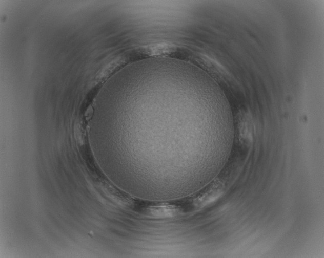 X0000075810316200609221315