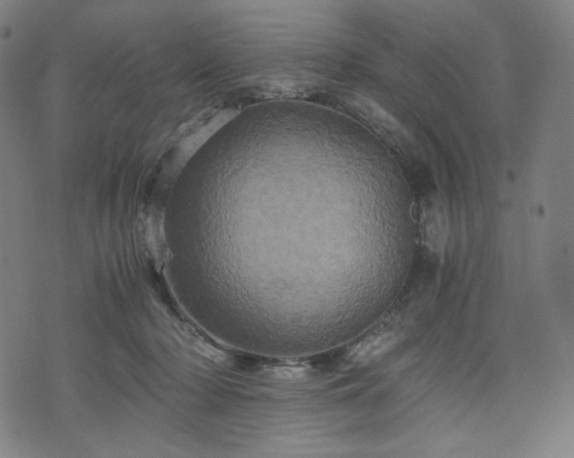 X0000075810318200609221315