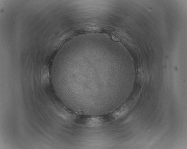 X0000075810320200609221315