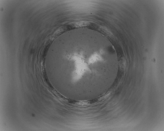 X0000075810327200609221315