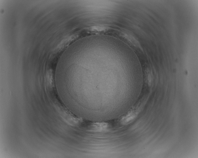 X0000075810328200609221315