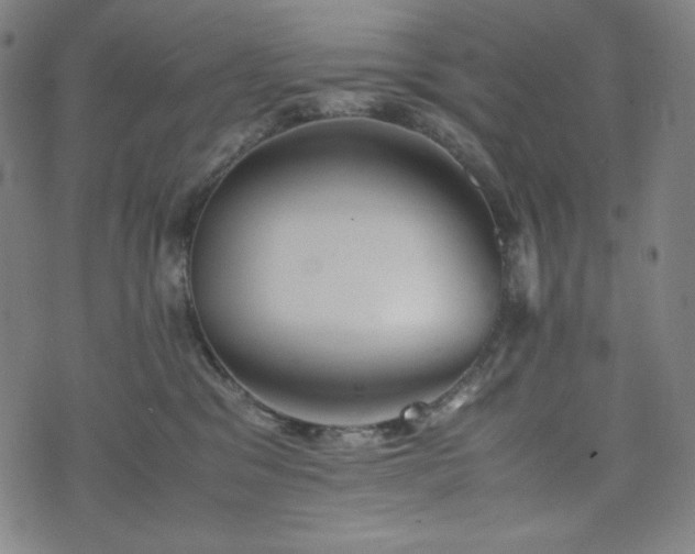 X0000075810329200609221315