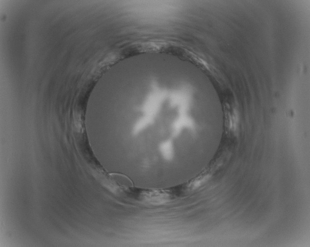 X0000075810331200609221315