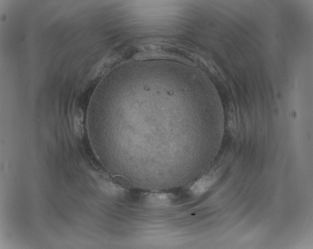 X0000075810332200609221315