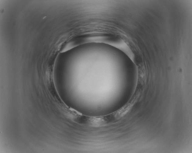 X0000075810333200609221315