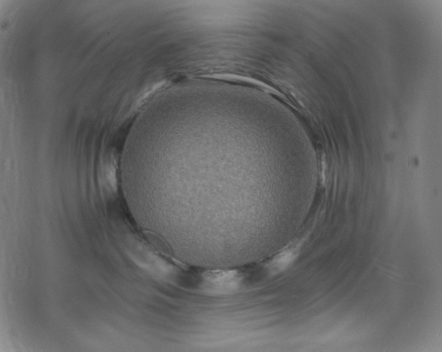 X0000075810334200609221315