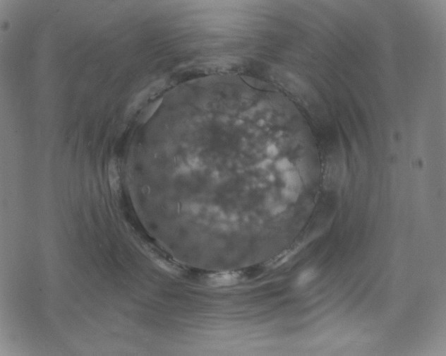 X0000075810335200609221315