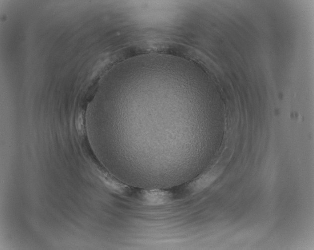 X0000075810336200609221315