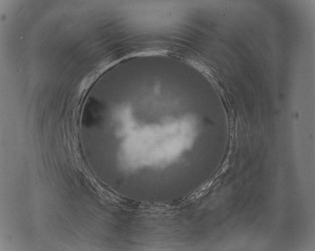 X0000075810337200609221314