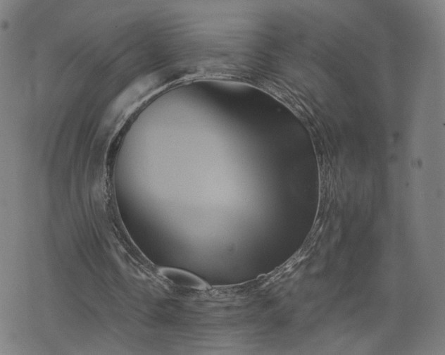 X0000075810338200609221314