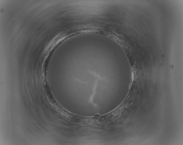 X0000075810339200609221314