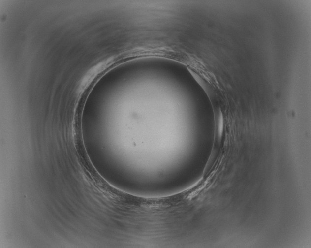 X0000075810340200609221314