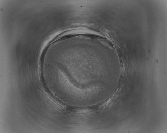 X0000075810342200609221314