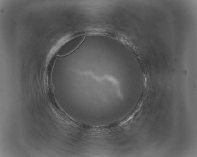 X0000075810343200609221314