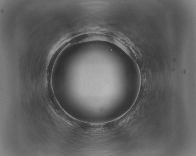 X0000075810344200609221314