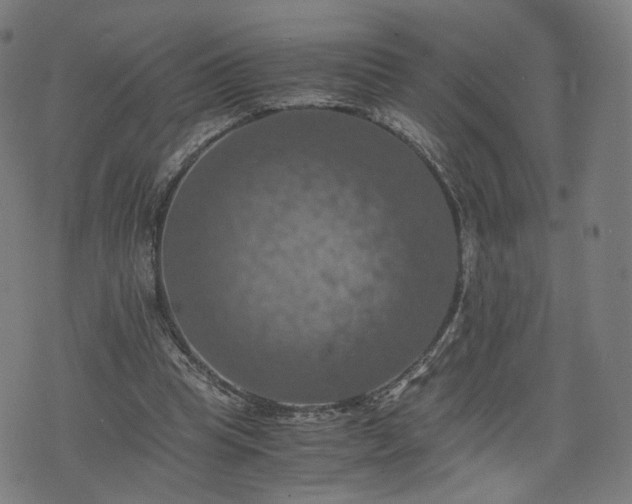 X0000075810345200609221314