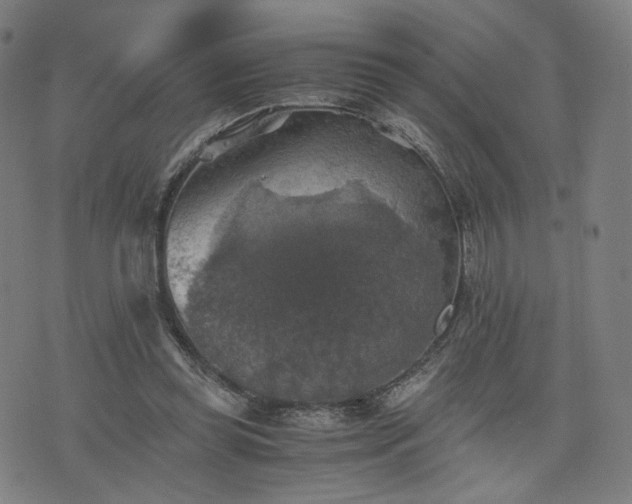 X0000075810349200609221314