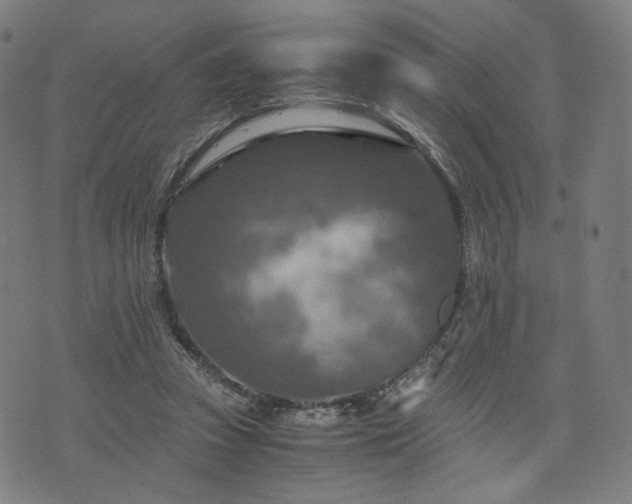 X0000075810353200609221314