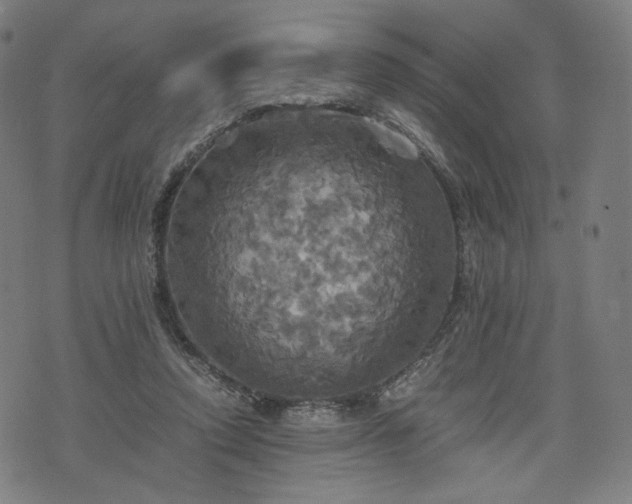 X0000075810354200609221314