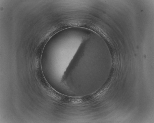 X0000075810355200609221314