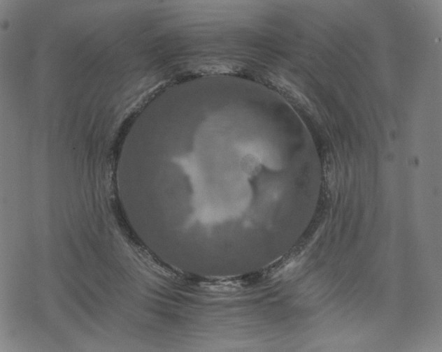 X0000075810359200609221314