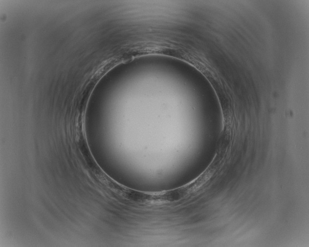 X0000075810360200609221314