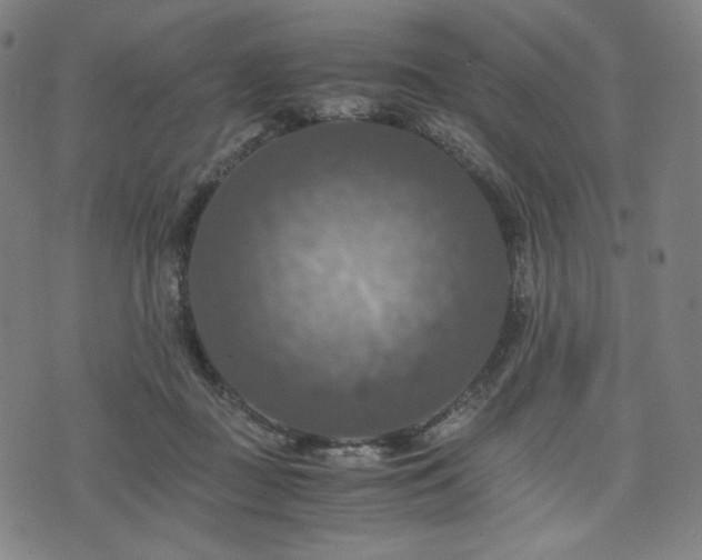 X0000075810363200609221314