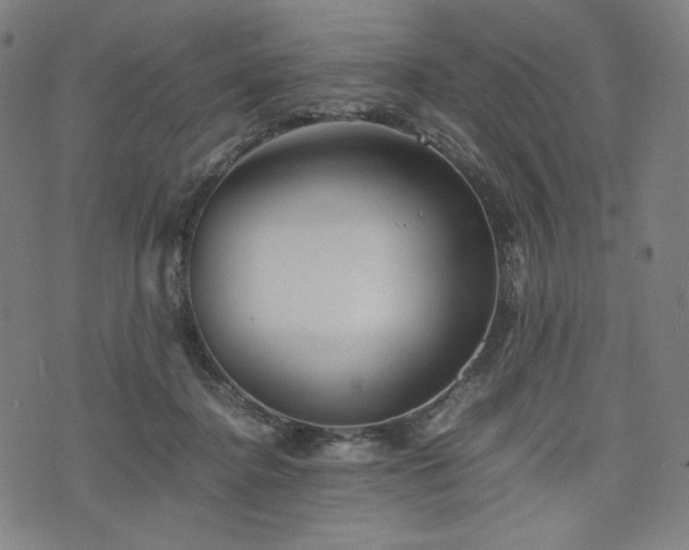 X0000075810364200609221314