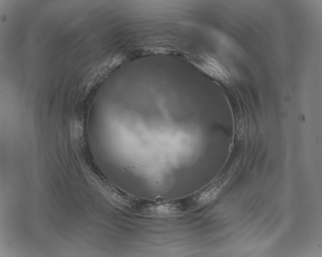 X0000075810365200609221314