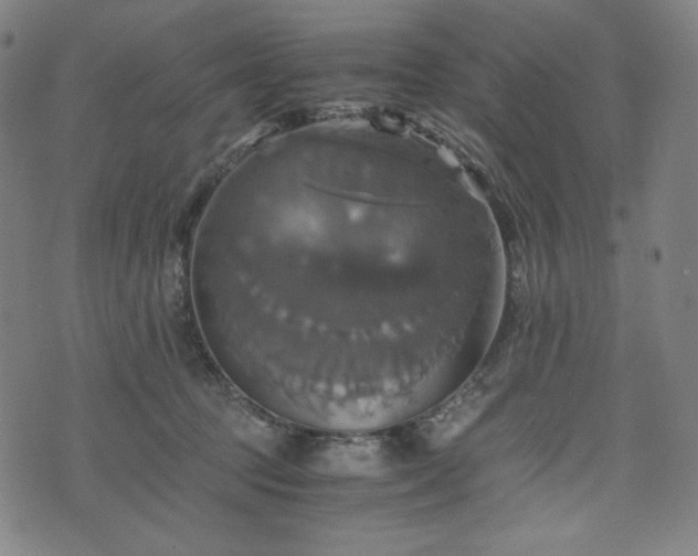 X0000075810369200609221314