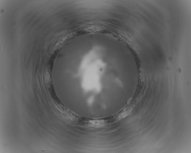 X0000075810371200609221314