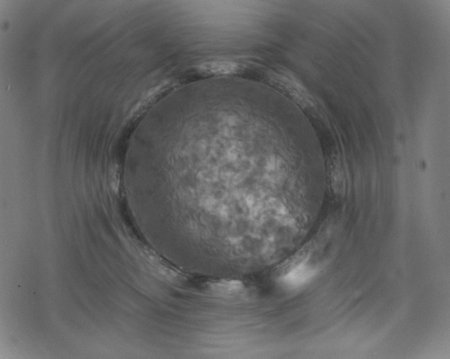 X0000075810374200609221314