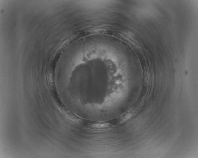 X0000075810375200609221314