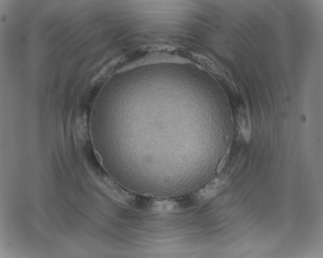 X0000075810376200609221314