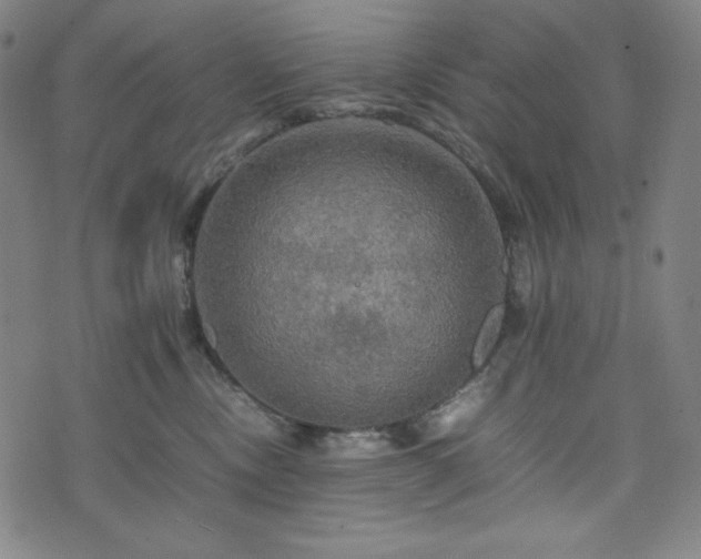 X0000075810378200609221314