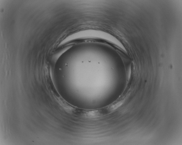 X0000075810382200609221315