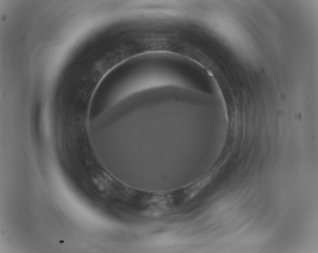 X0000075810383200609221315