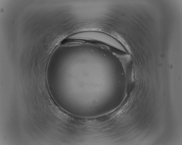 X0000075810385200609221314