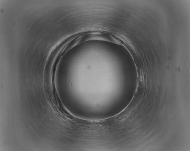 X0000075810388200609221314