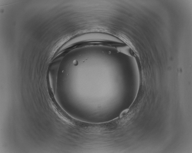 X0000075810389200609221314