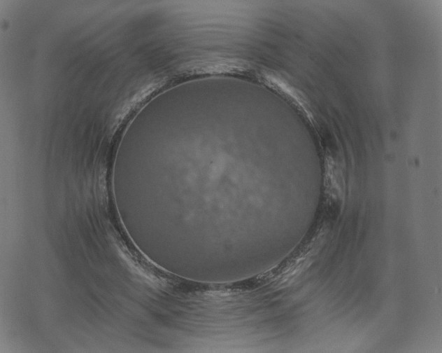 X0000075810394200609221314