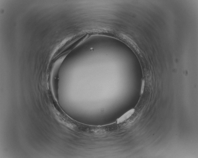 X0000075810395200609221314