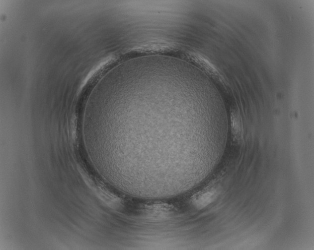 X0000075810396200609221314