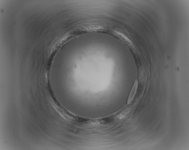 X0000075810405200609221313