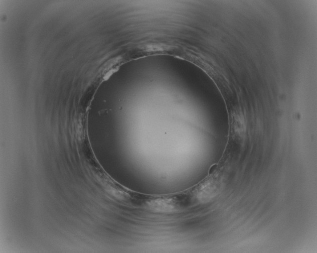 X0000075810422200609221313