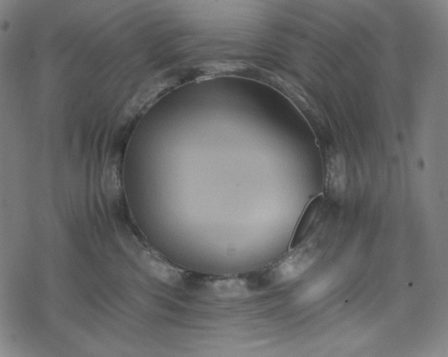 X0000075810426200609221313