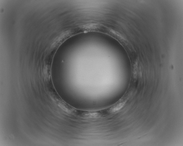 X0000075810428200609221313
