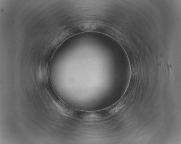 X0000075810460200609221313