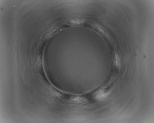 X0000075810467200609221313